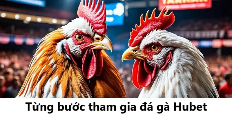 Từng bước tham gia cá cược đá gà trên HUBET