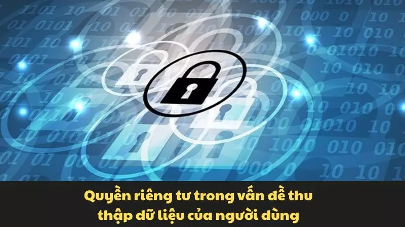 Quyền riêng tư trong vấn đề thu thập dữ liệu của người dùng